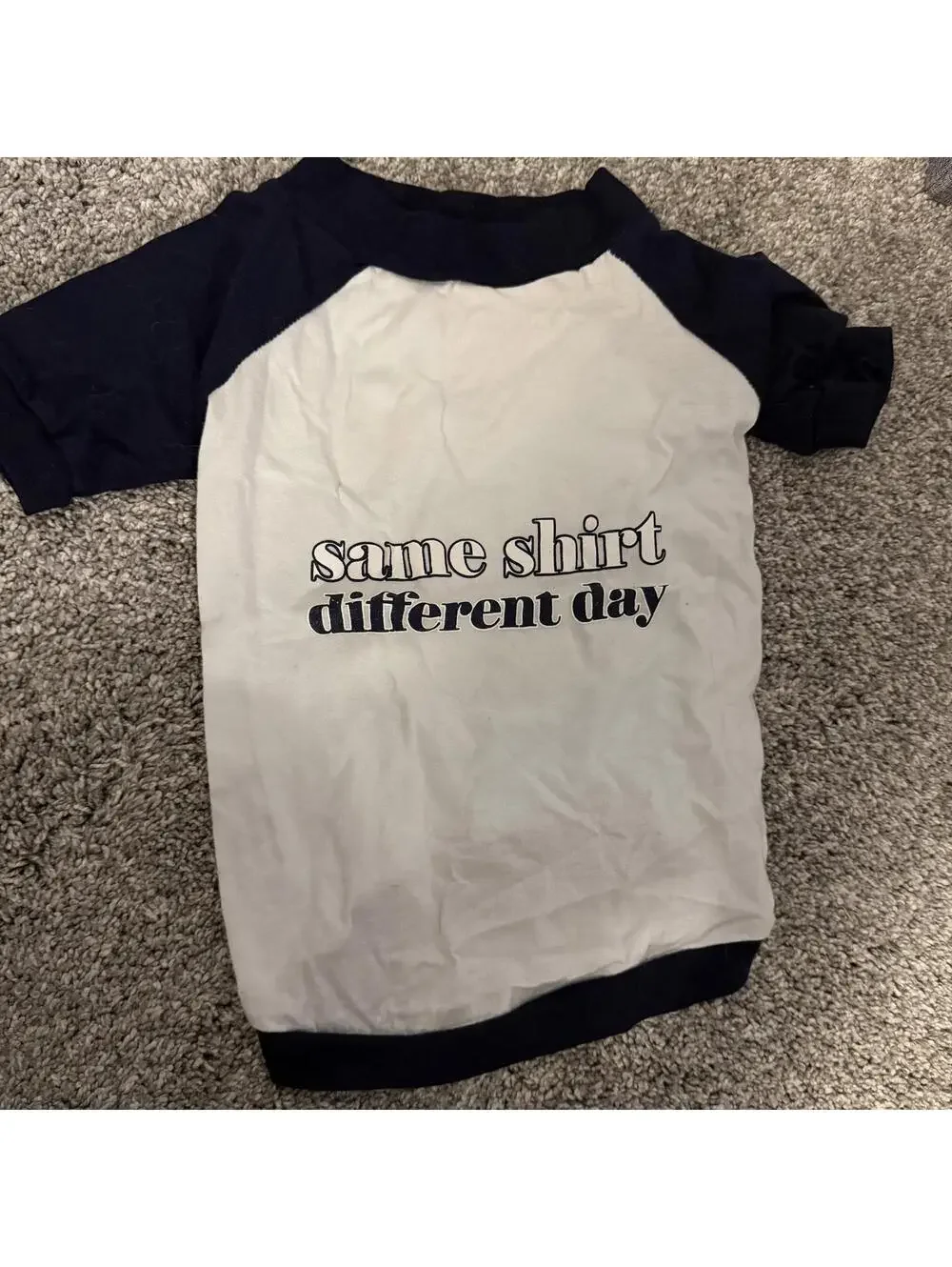Companion Road Large Pet Shirt - Same Shirt Different Day Design
